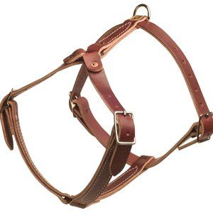 Ray Allen Leather Non-Padded Tracking Harness